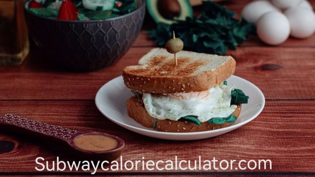 Subway Support Number