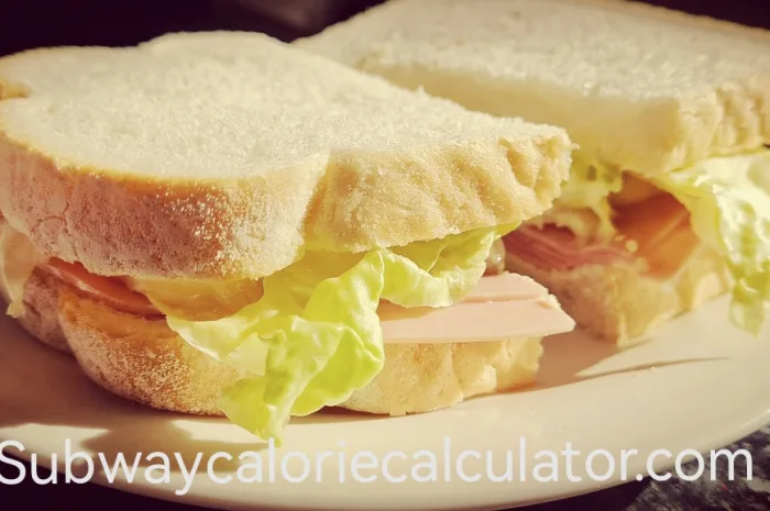 Subway Precios Chile