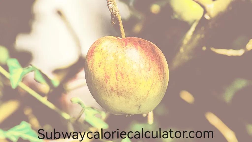 Calorie Calculator for Kids