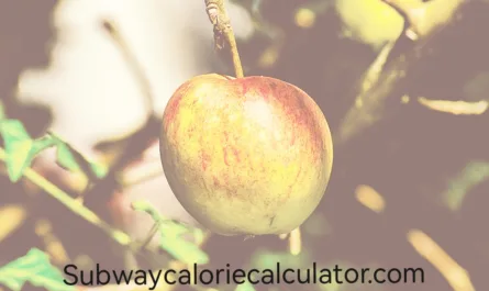 Calorie Calculator for Kids