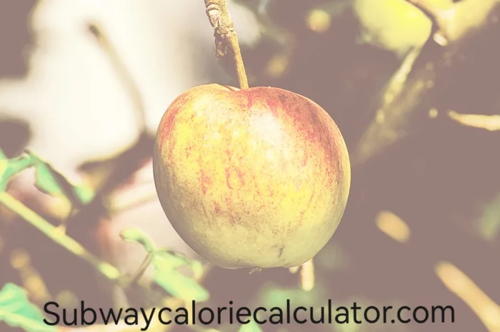 Calorie Calculator for Kids