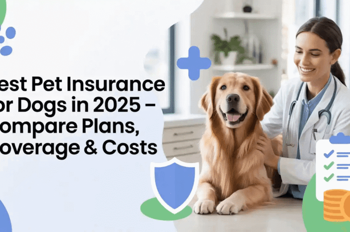 Best Pet Insurance for Dogs in 2025 Compare Plans, Coverage & Costs